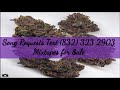 18 Ty Dolla Sign Famous Last Words Slowed Down Mafia mp3