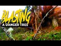 7 epic tree explosion  blowing up a huge tree