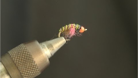 Polish or Czech Style Nymph - Fly Tying Lesson Video Tutorial by Curtis Fry