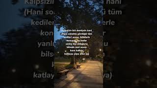 Kalpsizin Biri Demişsin Hani...