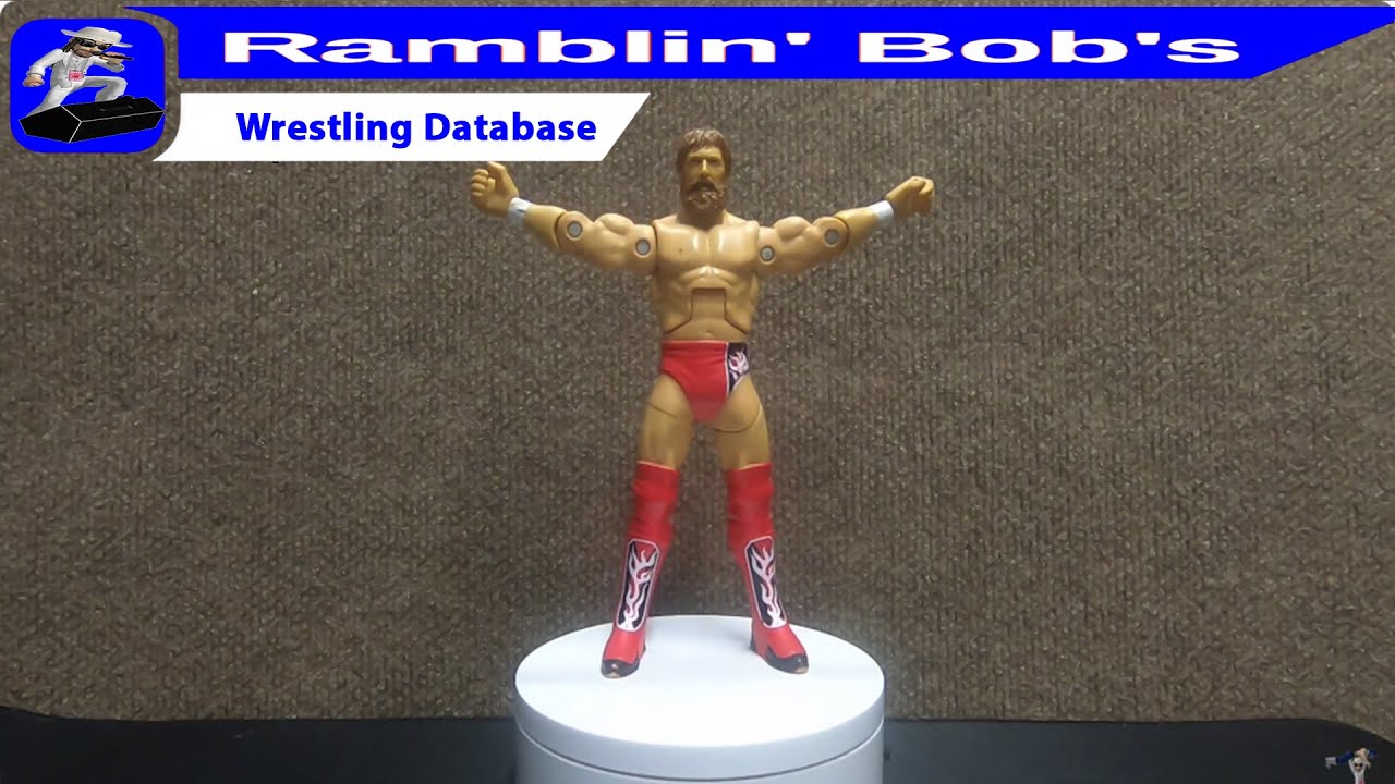 Daniel Bryan - 2013 Mattel Inc (WWE)