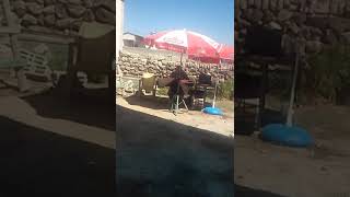 Sürmeli Gelin Resimi