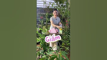 Thử Thách Tẩy Vết Dầu Mỡ Trên Áo #coyenmeohay #kocnet