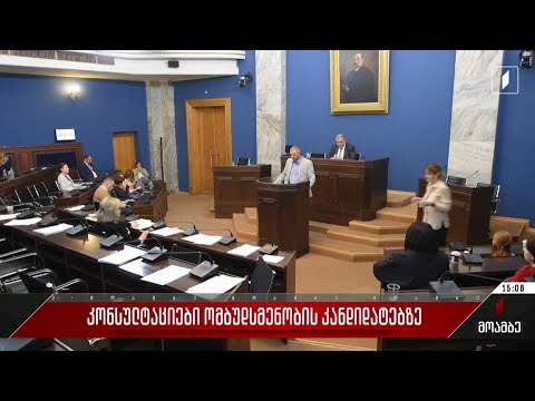 კონსულტაციები ომბუდსმენობის კანდიდატებზე