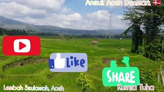 Lam moto kurnia