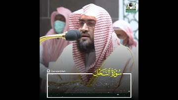 مقطع رائع جداً من سورة النحل بصوت الشيخ بندر بليلة حفظه الله ورعاه