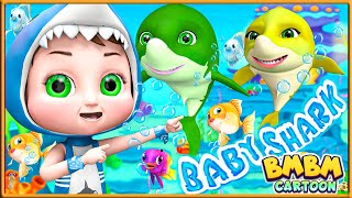 NEW - Baby Shark&#39;s Ocean Adventure 🌊🐠🌊#babyshark - Baby songs - Nursery Rhymes &amp; Kids Songs