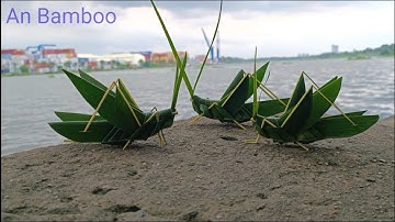 Làm Con Cào Cào Bằng Lá Dừa | Make Locusts With Coconut Leaves | #20