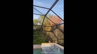 Perfect Patios Swimming Pool Enclosure