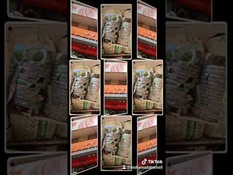 ماكسس الاطار الجبار   