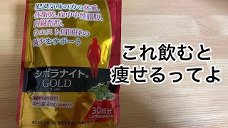 20220430_シボラナイトGOLDダイエット検証企画