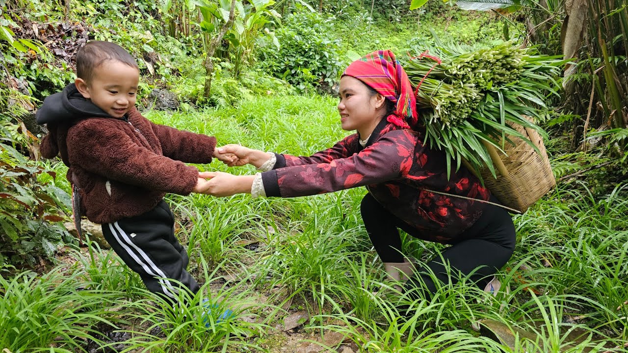 Harvesting Garlic Chives for the Market | Cooking a Warm Dinner With My Son | Trieu Thi Thuy.