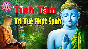 Người Tĩnh Tâm Thì Trí Tuệ Càng Cao Tâm An Cuộc Sống Gặp Nhiều May Mắn - Lời Phật Dạy Hay Nhất