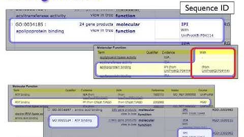 Introduction to Biomedical Ontologies #3: Anatomy of an Ontology Annotation, part 2