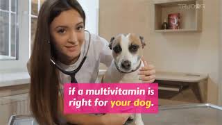 Multivitamins, They're Not Just For Your Kids, They're For Your Dog Too! by TruDog 55 views 4 years ago 1 minute, 40 seconds