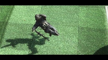 Signal Distortion. ft.Venus #VKHEC2