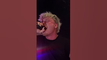 Thumbnail of Paleface Swiss - The Gallow Live