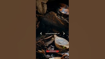 سوره مبارکه بقرة آیات 28 تا 29