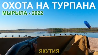 Охота на турпана в Якутии. Мырыла 2022
