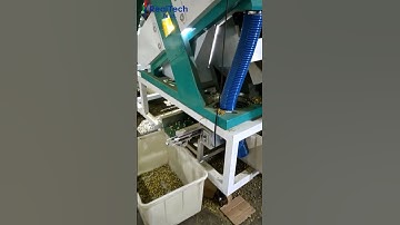 dried chrysanthemum color sorting machine