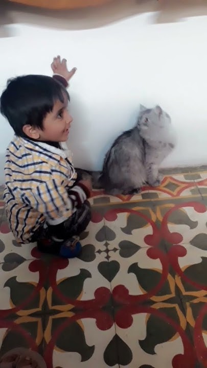 Billi Ne Ahmed Per Attack Kar Diya Wild Cat Hurt A Kid shorts funny billi-ne-ahmed-per-attack-kar-diya-wild-cat-hurt-a-kid-shorts-funny