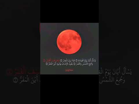 سبحان الله في خلقه و ابداعه