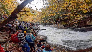 Love This Event Green Race 2021