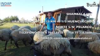 Red Turismo Rural del Maule