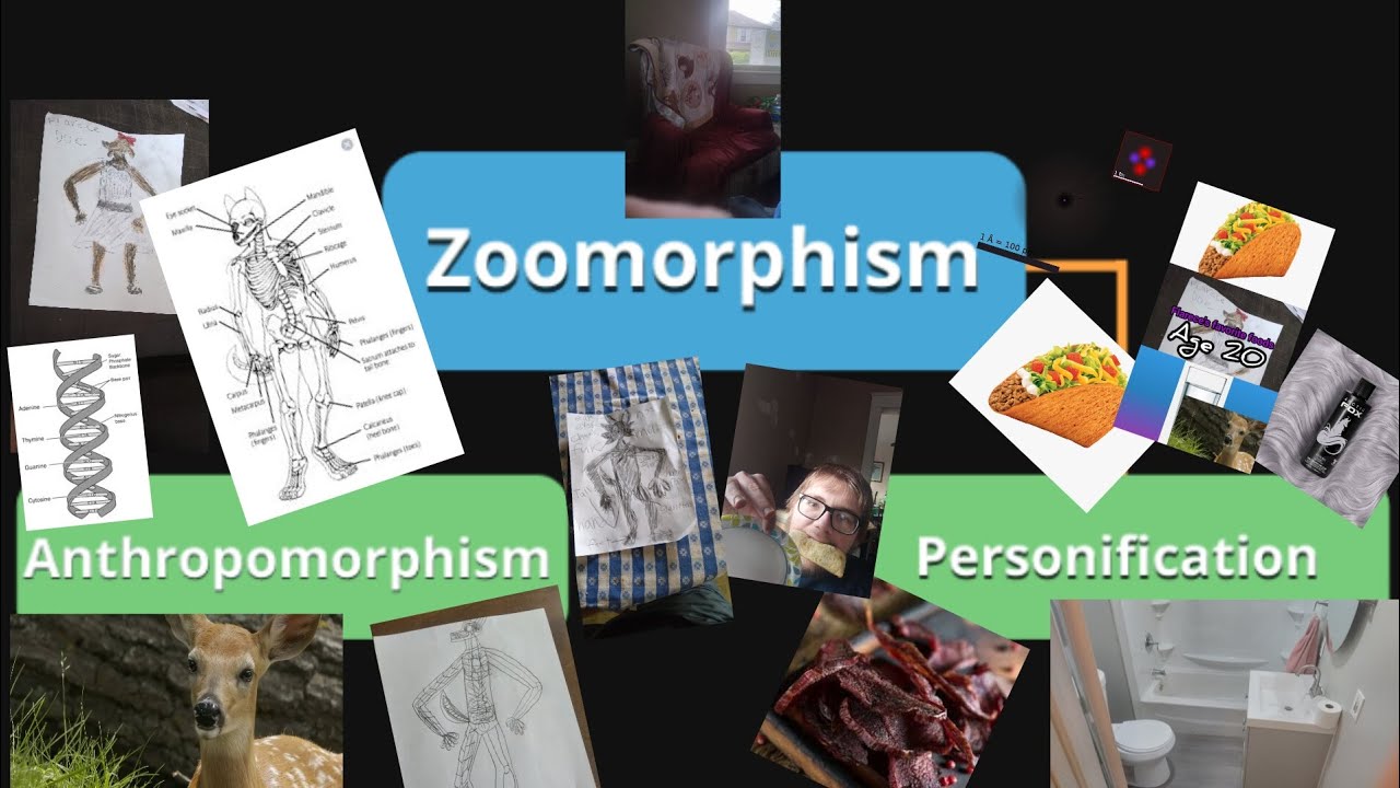 What is Zoomorphism to the Anthro Human species??? YouTube