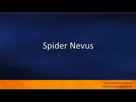 Pronunciation of the word(s) "Spider Nevus".