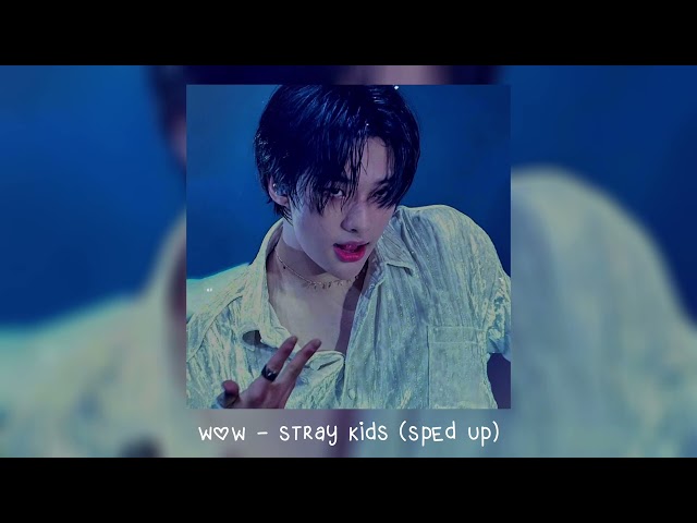 wow - stray kids class=