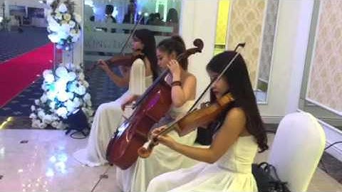 Cho thuê ban nhạc tam tấu , tứ tấu tiệc cưới sự kiện chuyên nghiệp tại hà nội 0977998241