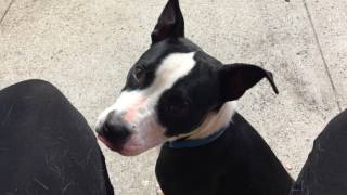 Paige A1120873   IMG 5539