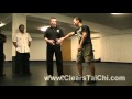 1 Touch Knockouts (Tai Chi)