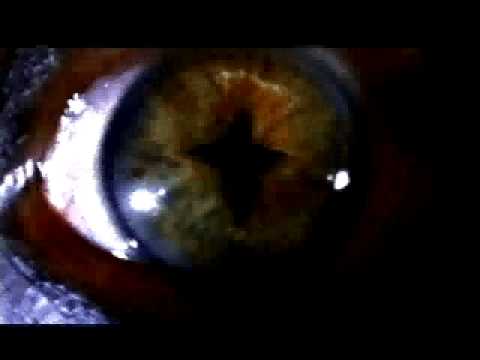 lyrics perry mason ozzy osbourne lyrics perry mason ozzy osbourne