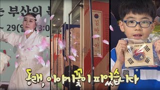 '동래, 이야기꽃이 피었습니다' 제7회 부산스토리텔링축제 '동래, 이야기꽃이 피었습니다' 제7회 부산스토리텔링축제