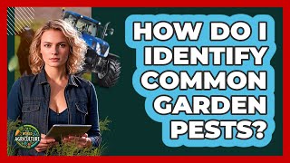 How Do I Identify Common Garden Pests?