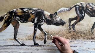 African Painted Dogs