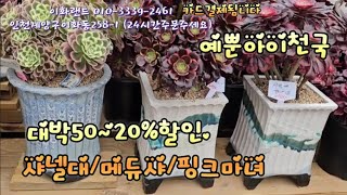 대박50~20%할인/핑크마녀/샤넬/썬라이즈. 이화랜드010-3339-2461 나는농부다282회출연