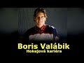 Boris Valábik - Hokejová kariéra