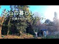 【お山の暮らし 025 】60歳シニア夫婦の庭を覆う木々の伐採 日当たりを取り戻す