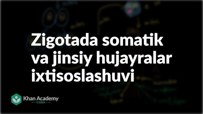 Ichki kiyim pornosi fotosuratlarini koring Qadimgi kunlardan jinsiy aloqa video