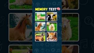 Memory Test🧠🔥 | Can You Remember Everything? Try This 1-Minute Quick Memory Test Game