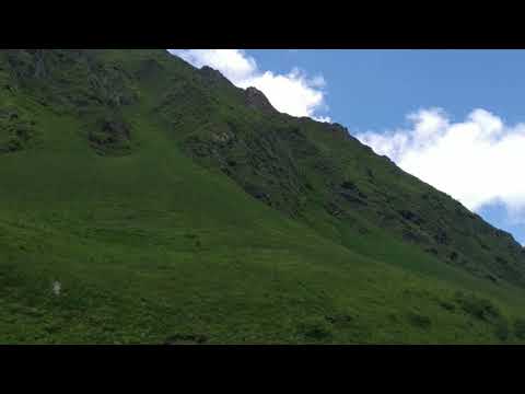 ჯუთა, ჭაუხები