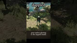 dappled — Divinity: Original Sin 2 dialogue scene