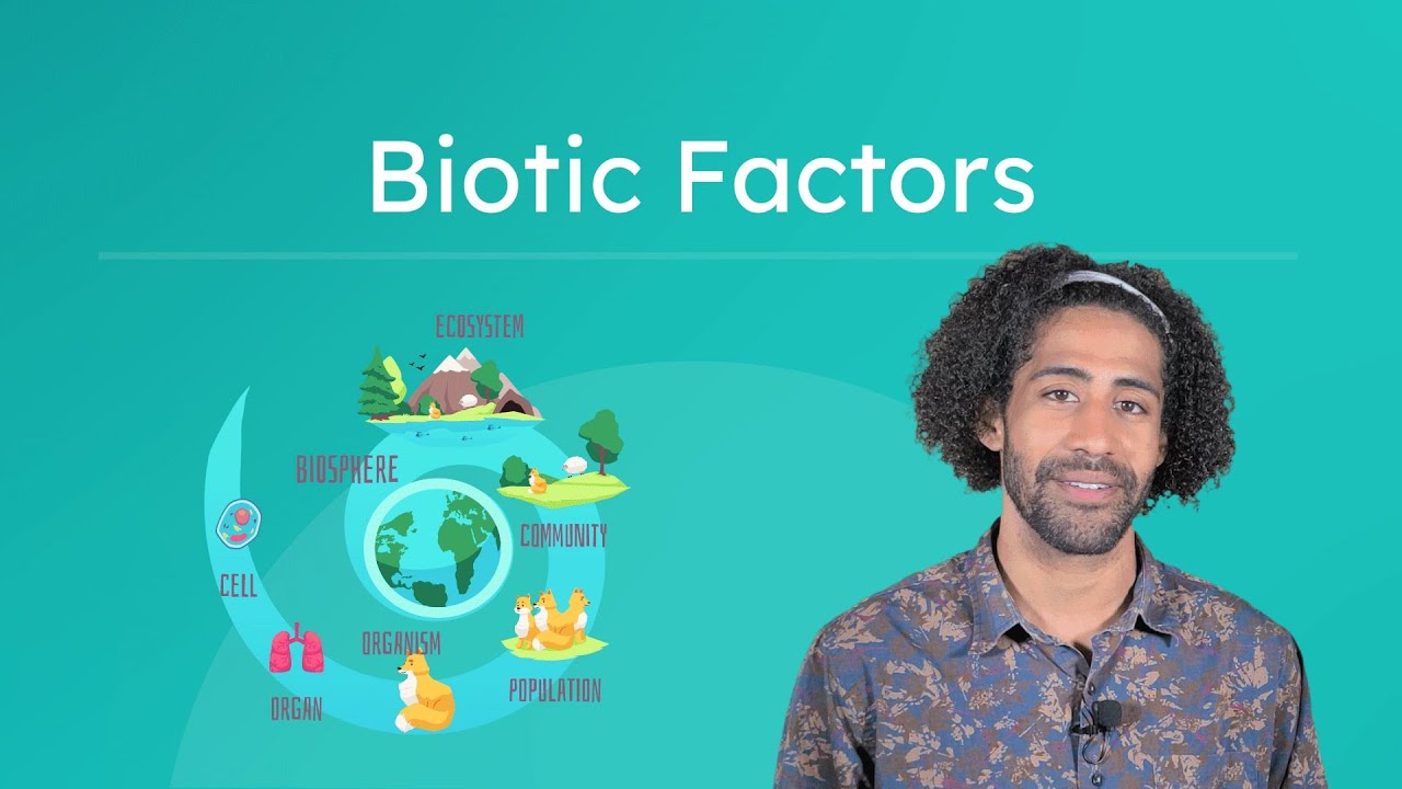 Biotic Factors Life Science for Kids! YouTube