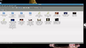 Linux Mint with Gnome menu (makes it looks like Ubuntu 10.10)