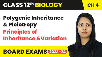 Polygenic Inheritance & Pleiotropy - Principles of Inheritance and Variation | Class 12 Biology Ch 4