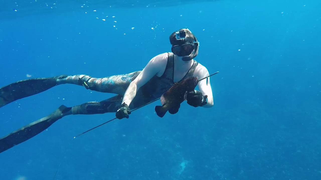 Spearfishing Kona, Hawaii 2018 YouTube