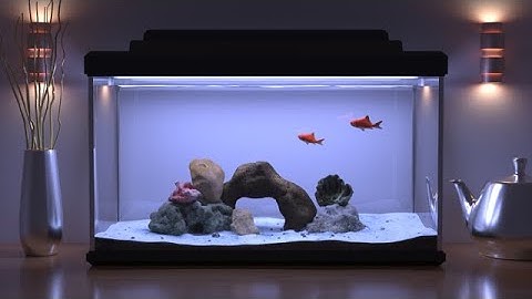 Delayed Rejection Metropolis Light Transport (SIGGRAPH 2020)